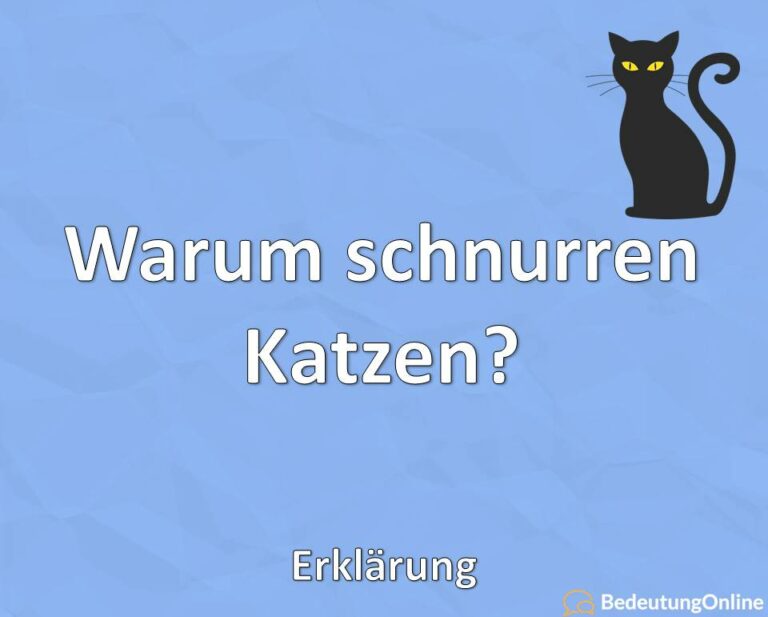 Warum Schnurren Katzen Erkl Rung Bedeutung Online